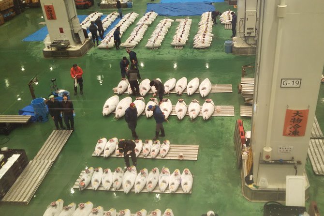 Tuna Auction at Toyosu Market With Qualified Guide and Early Morning Tour of Tsukiji Outer Market - Booking and Cancellation Policies