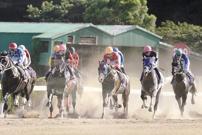 A Tour to Enjoy Japanese Official Gambling (Horse Racing, Bicycle Racing, Pachinko) - Just The Basics