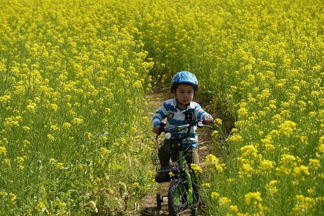 Azumino Full Day Cycling Tour - Just The Basics