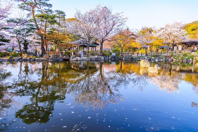 Exclusive Instagram-Worthy Photo Shoot in Kyoto - Just The Basics