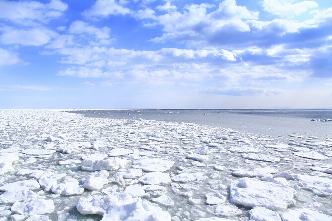 Hokkaido Sightseeing Train 1-Day Tour