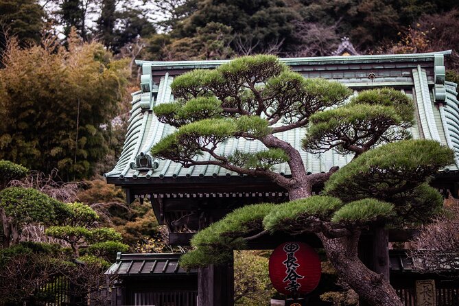 Kamakura Full Day Private Tour - Just The Basics