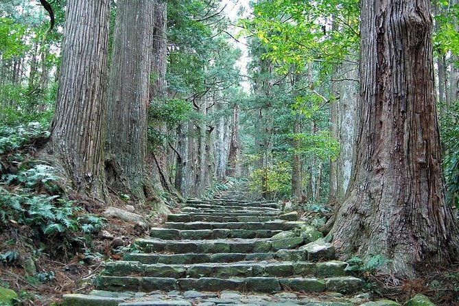 Kumano Kodo Half Day Daimonzaka and Nachi Taisha Tour - Just The Basics