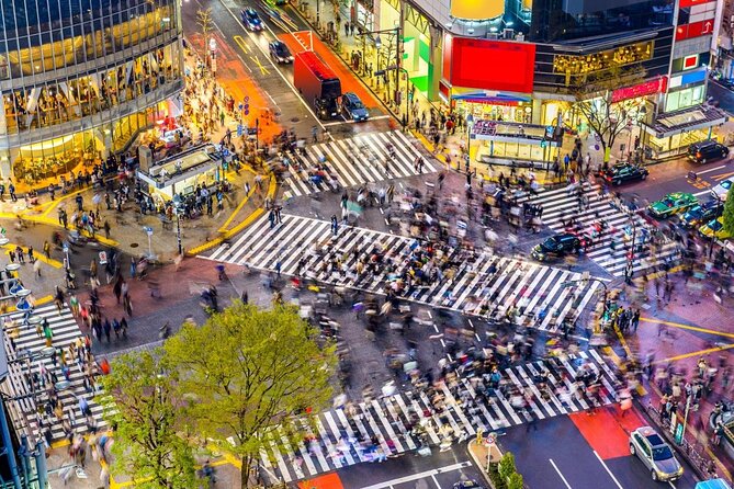 Meiji Shrine to Shibuya Crossing With Lunch and Dessert - Just The Basics