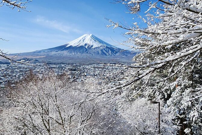 Mount Fuji Private One Day Tour With English Speaking Driver - Just The Basics