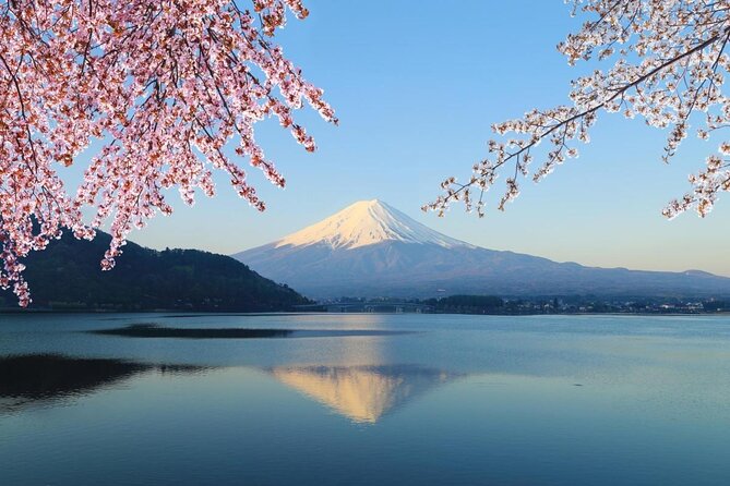 Mt Fuji Day Trip With Private English Speaking Driver From Tokyo - Just The Basics