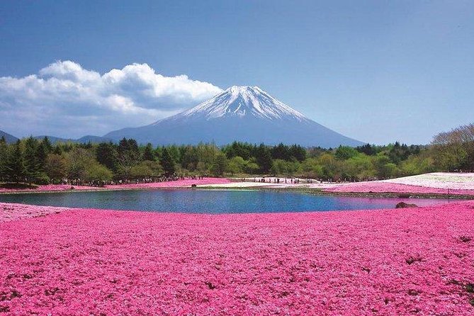 Mt. Fuji Flower Festival Tour With Ropeway Experience From Tokyo - Just The Basics