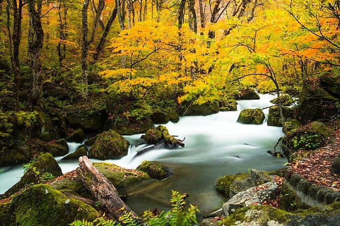 Oirase Gorge and Lake Towada Day Hike With Government-Licensed Guide - Just The Basics