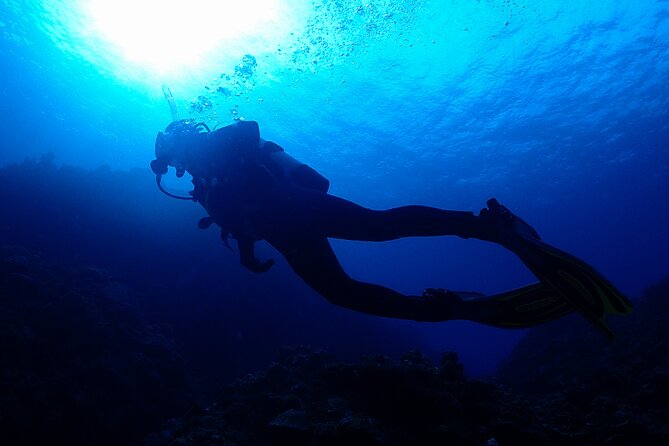 Okinawa Scuba Diving for Certified Divers (3 Boat Dives + Lunch) - Just The Basics