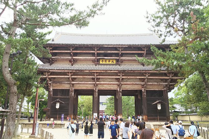 One-Day Tour of Amazing 8th Century Capital Nara - Just The Basics