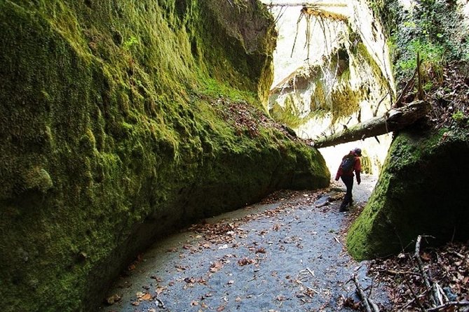 Private Day Trip of Lake Shikotsu and Moss Canyon - Just The Basics