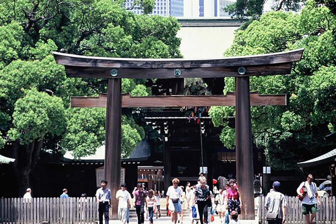 Private Guided Half Day Walking Subway Tour in Tokyo - Just The Basics