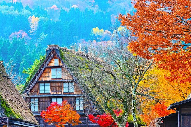 Shirakawa-Go and Hida-Takayama Private Day Trip From Nagoya - Just The Basics