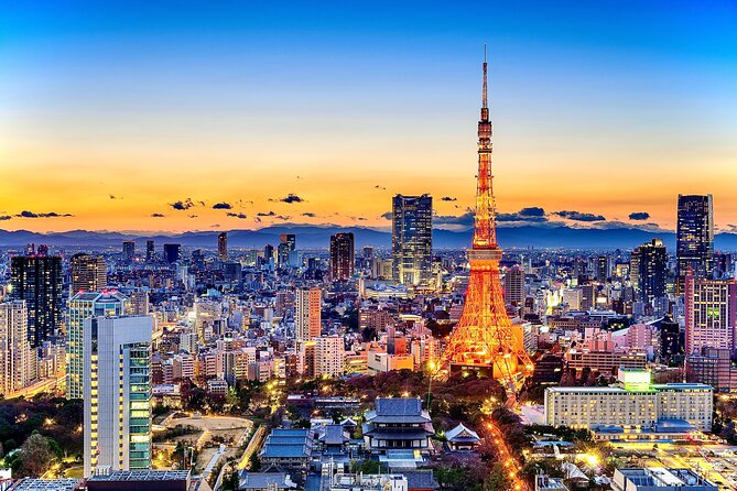 Tokyo Private Tour by Car/Van - English Speaking Chauffeur - Just The Basics