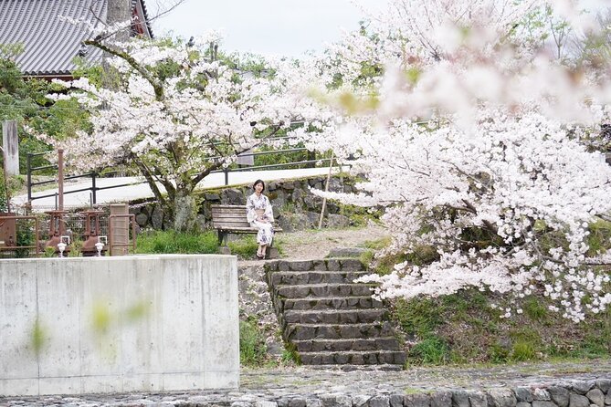 Uji Walking Tour With Matcha Experience - Just The Basics