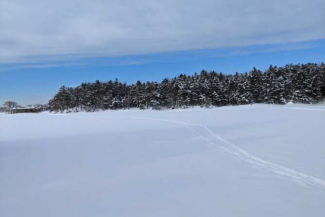 3 Hours Shiretoko Five Lakes Snowshoe Tour