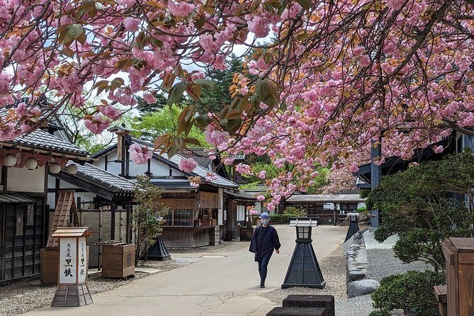 Chartered Private Tour - Tokyo to Nikko, Toshogu, Edo Wonderland - Tour Details and Inclusions