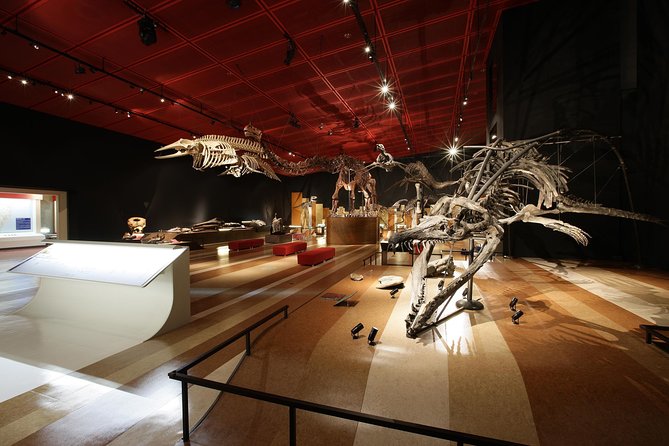 Coal & Fossil Museum Admission Ticket - Planning Your Museum Visit