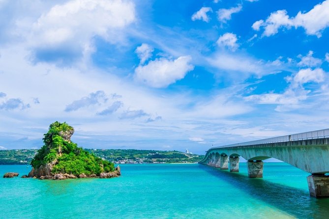 Explore Okinawa With Private Alphard Car Hire With Simple English Driver