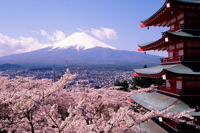 From Tokyo to Mount Fuji Instagram Worthy Full Day Tour