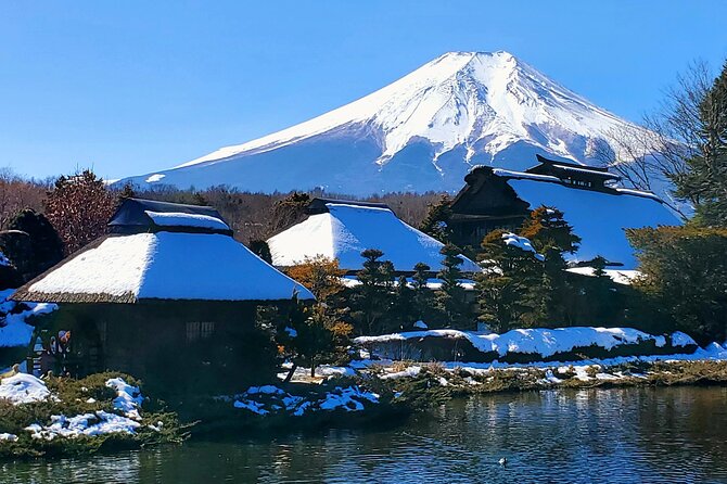 Full Day Private Guided Tour Mt. Fuji and Hakone - Private Tour Overview