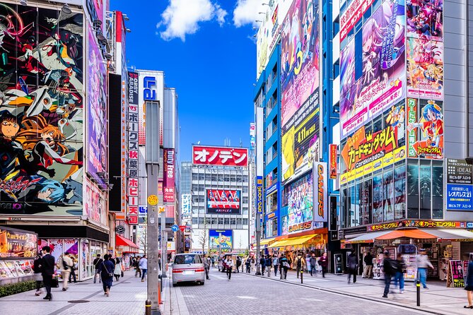 Guided Tour Exploring Anime and Electronics in Akihabara