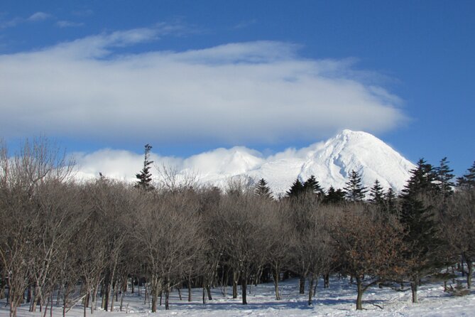 Half-Day Primeval Forest Snowshoe and Wildlife Watching Tour - Tour Highlights and Itinerary