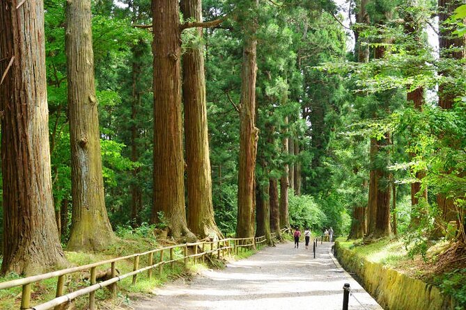 Hiraizumi Half-Day Private Trip With Government-Licensed Guide - Customizing Your Private Tour