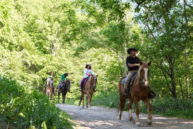 Horseback-Riding in a Country Side in Sapporo – Private Transfer Is Included