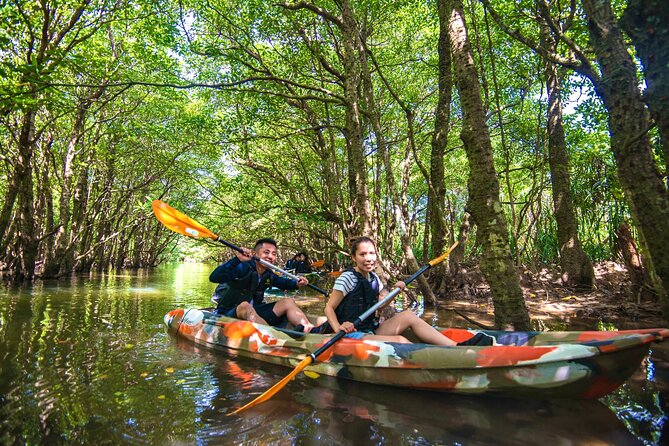 [Iriomote]Sup/Canoe Tour + Sightseeing in Yubujima Island