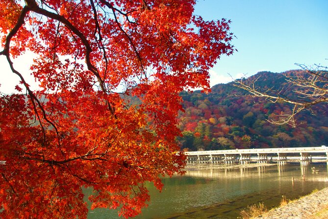 Kyoto Day Tour Tenryu-ji Temple Arashiyama Grove and Kinkaku-ji