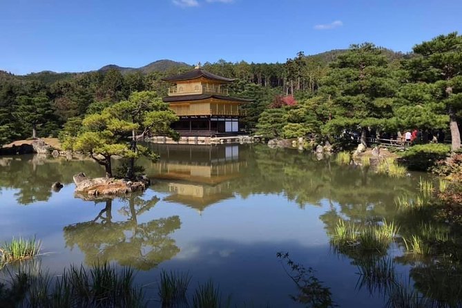 KYOTO-NARA Custom Tour With Private Car and Driver (Max 4 Pax) - Tour Highlights and Benefits