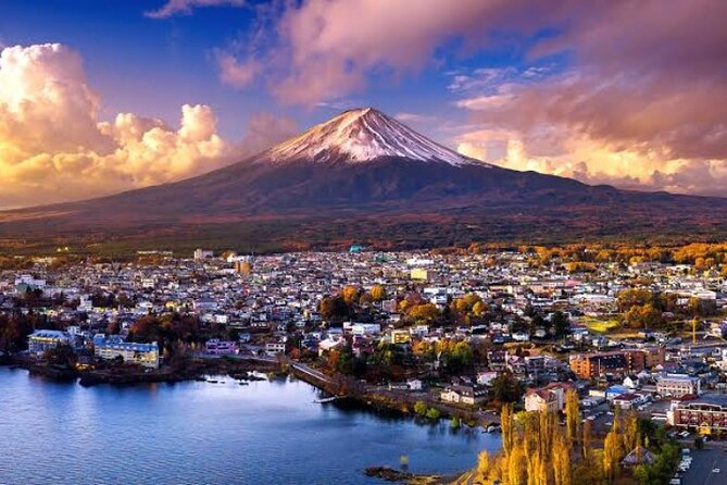 Mount Fuji and Hakone Private Tour With English Speaking Driver - Pickup and Tour Details