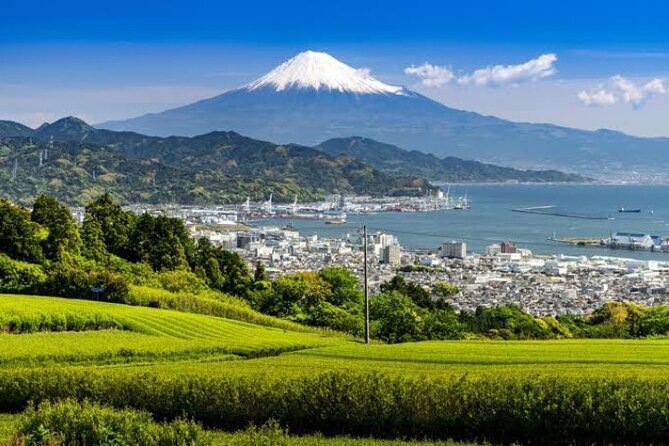 MT Fuji and Hakone Private Group Tour (Upto 9 Persons) by Hiace