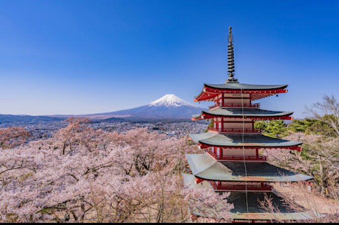 Mt.Fuji Hakone Private Tour With English Speaking Chauffeur