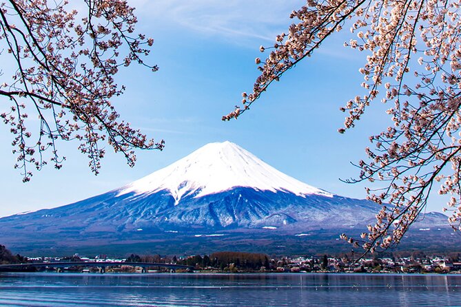 Mt. Fuji, Mt Fuji Panoramic Ropeway & Seasonal Fruits Picking