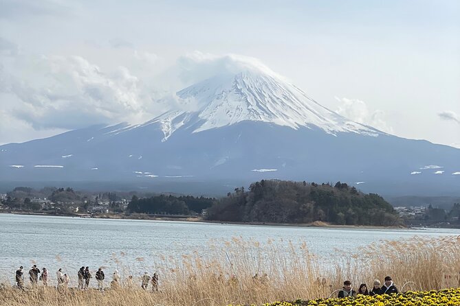 Mt Fuji Sightseeing Private Tour With English-Speaking Driver