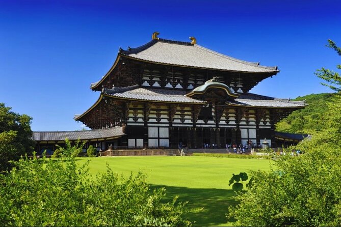 Nara, Todaiji Temple & Kuroshio Market Day BUS Tour From Osaka - Tour Overview and Highlights