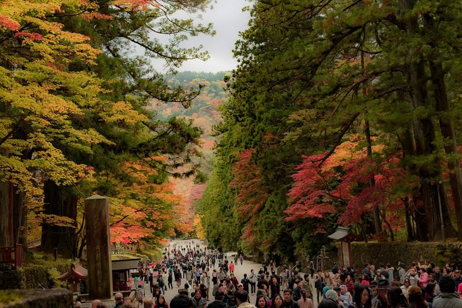 Nikko Custom Half Day Tour - Tour Highlights and Inclusions