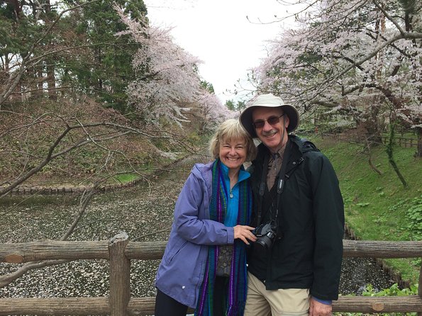 Private Cherry Blossom Tour in Hirosaki With a Local Guide - Cherry Blossom Viewing Experience