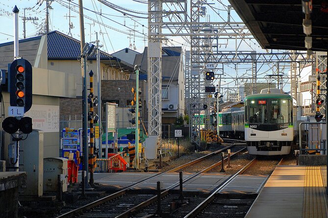 Private Day Tour in Tokyo With a Native English Speaker - Private Tokyo Tour Highlights