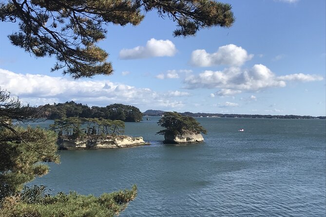 Private Guided Tour in Matsushima - Tour Logistics and Details