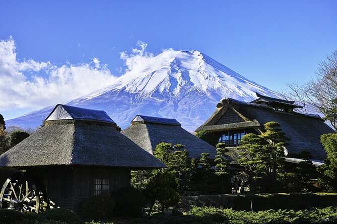 Private Mount Fuji and Hakone 1-Day Sightseeing Tour With Guide