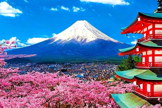 Private Mount Fuji and Hakone Sightseeing Day Trip With Guide