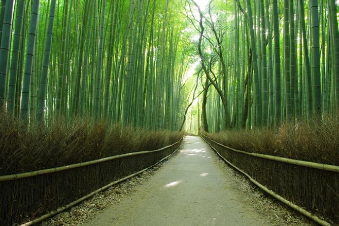 Sagano Romantic Train & Arashiyama, Kiyomizudera, Fushimi Inari Taisha Day Tour