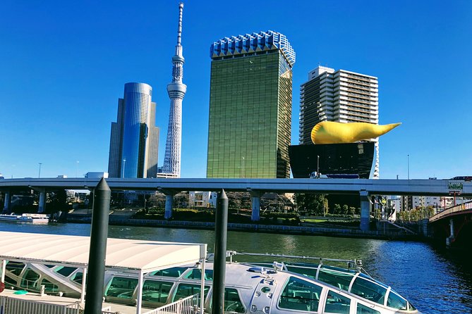 Tokyo Highlights Full-day Tour With A Licensed Private Guide