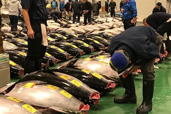 Tuna Auction and Market Tour at Activity Maison Kissako