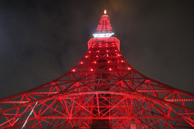 1 Day Pass at the Digital Amusement Park RED TOKYO TOWER - Operating Schedule and Dates