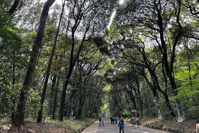 3 Hour Private Tokyo Meiji Jingu Shrine Wellness Tour - Health and Safety Considerations