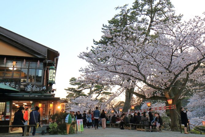 4 Hour Unique Kanazawa Cherry Blossom Sakura Private Experience - Meeting Point and Accessibility